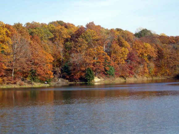 Indiana Fall