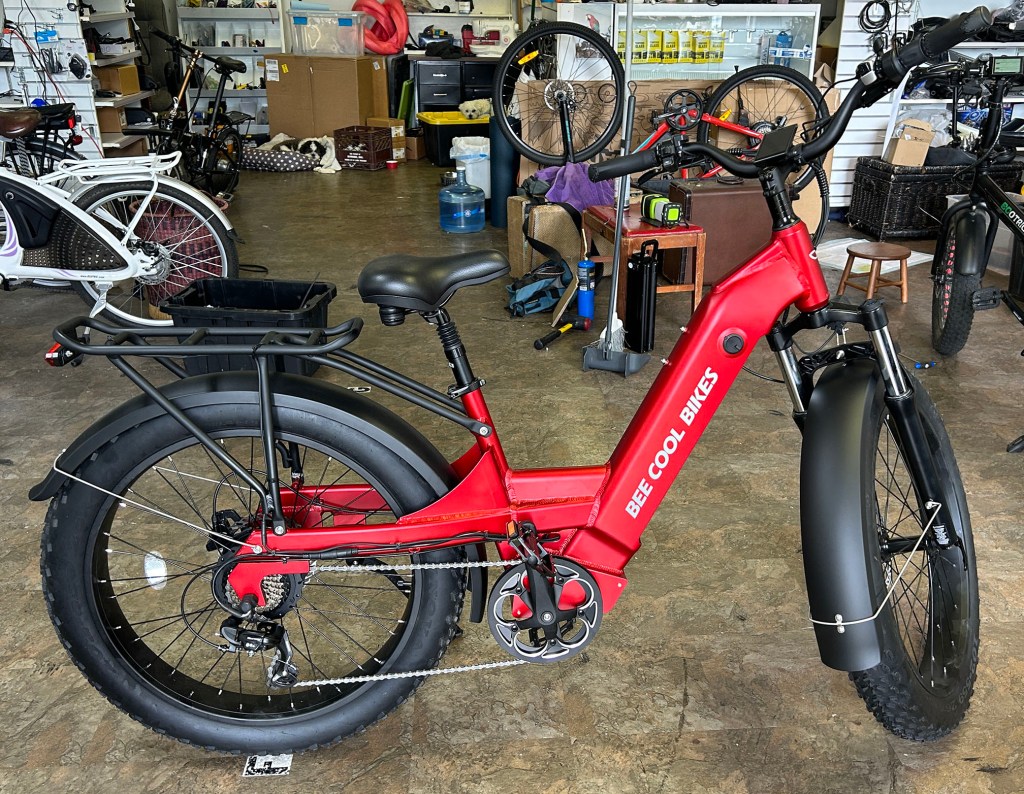 BeeCool Pathfinder, fat tire step-thru